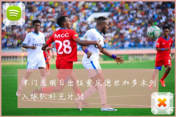 津门虎明日出征重庆德尔加多未列入球队补充计划