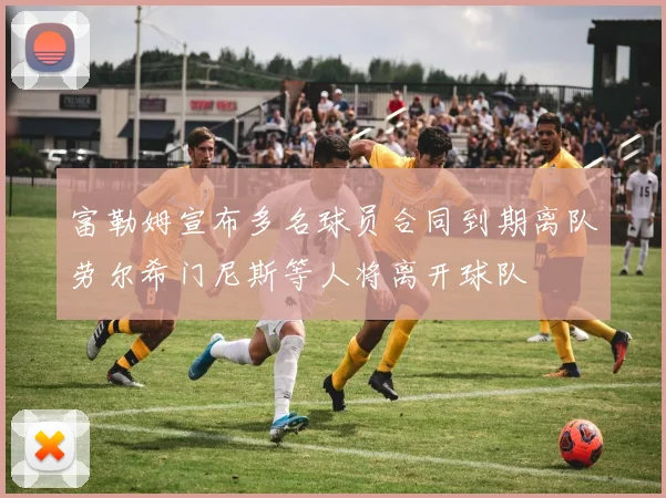 富勒姆宣布多名球员合同到期离队劳尔希门尼斯等人将离开球队